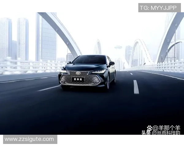 南京网球队在洲际杯积分榜上以86分稳居第一名展现强劲实力