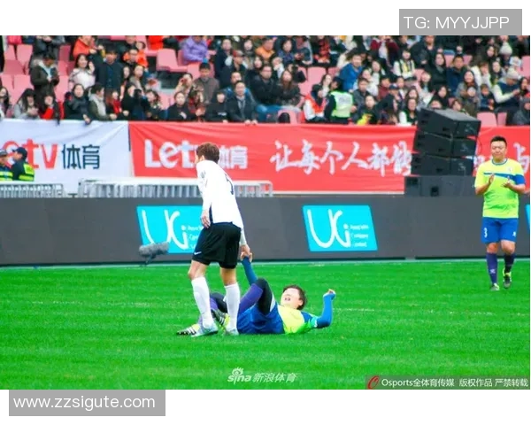 顶级足球明星的精彩瞬间与背后的故事揭秘