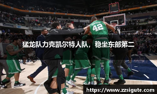 猛龙队力克凯尔特人队，稳坐东部第二