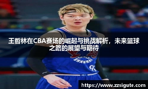 王哲林在CBA赛场的崛起与挑战解析，未来篮球之路的展望与期待