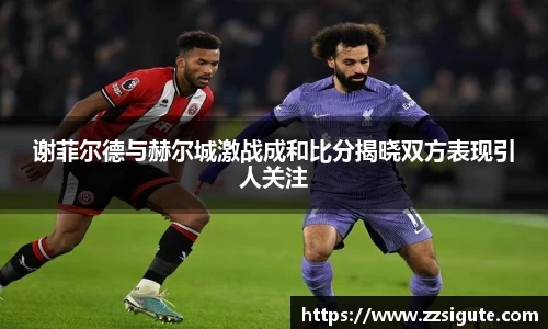 谢菲尔德与赫尔城激战成和比分揭晓双方表现引人关注