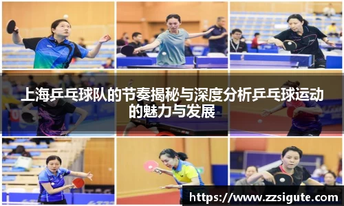 上海乒乓球队的节奏揭秘与深度分析乒乓球运动的魅力与发展