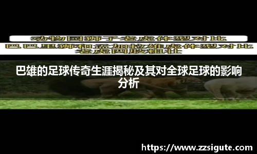 申博太阳城官方app